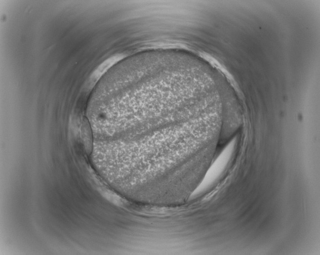 X0000085841273200704132054