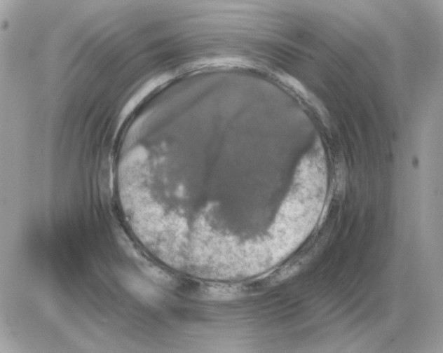 X0000085841274200704132054