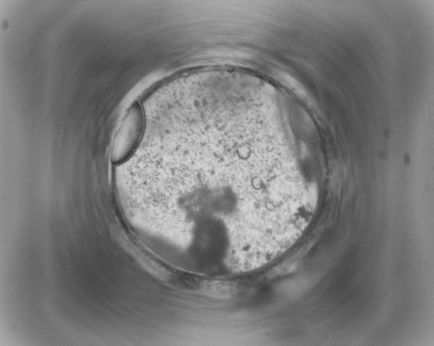 X0000085841275200704132054