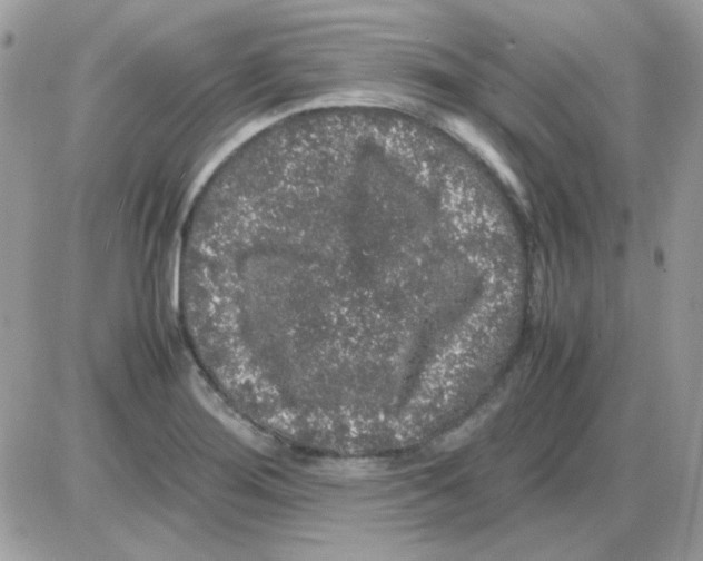 X0000085841276200704132054