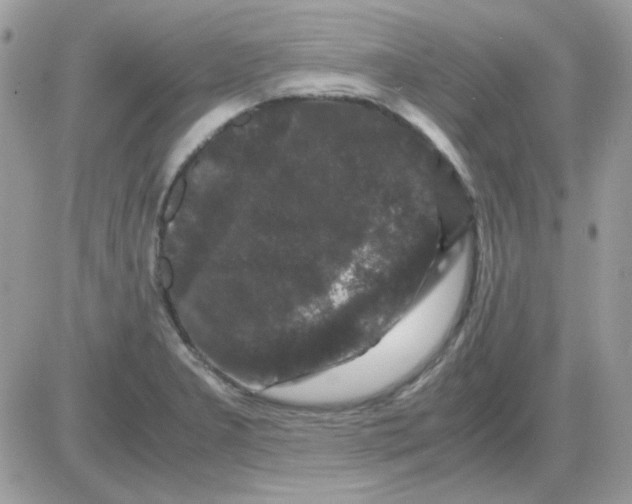 X0000085841277200704132054