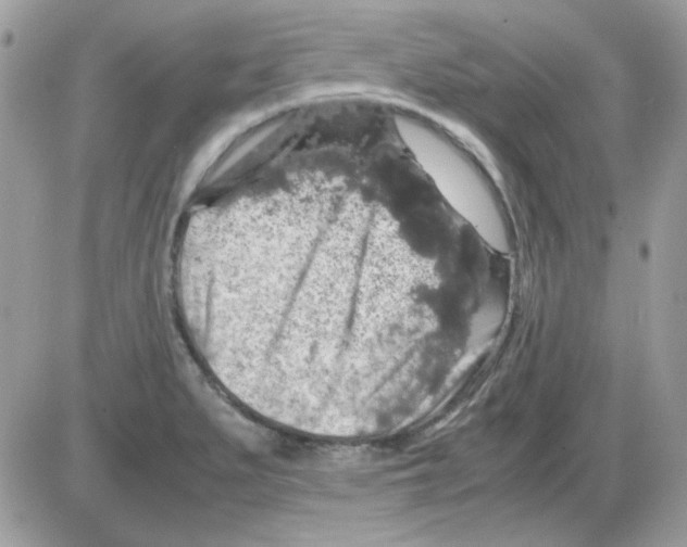 X0000085841279200704132054