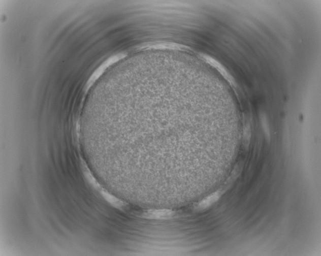 X0000085841282200704132054