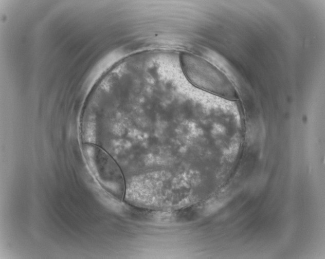 X0000085841283200704132054