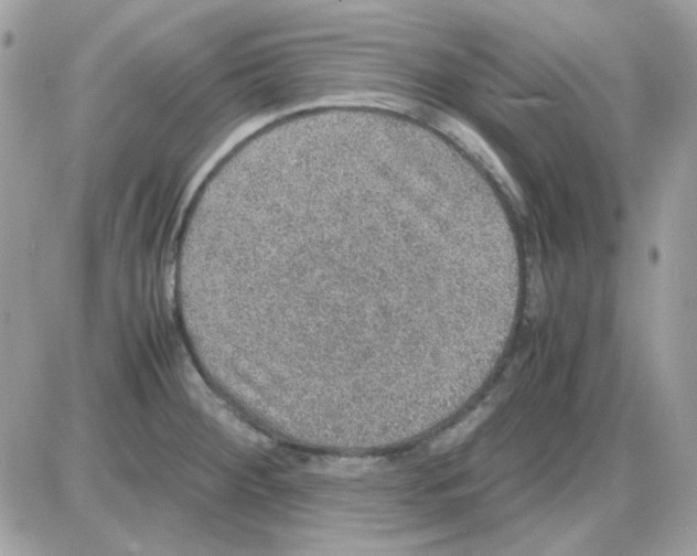 X0000085841284200704132054