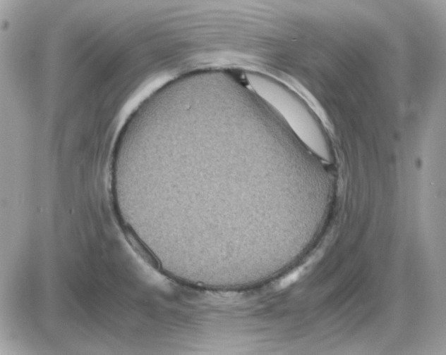 X0000085841285200704132054