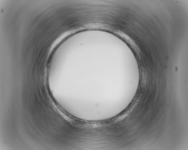 X0000085841286200704132054