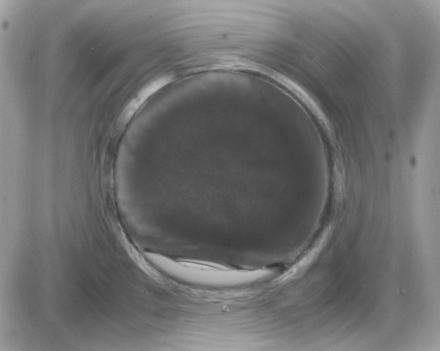 X0000085841289200704132054