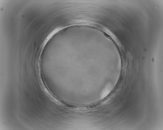 X0000085841291200704132054