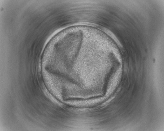 X0000085841292200704132053