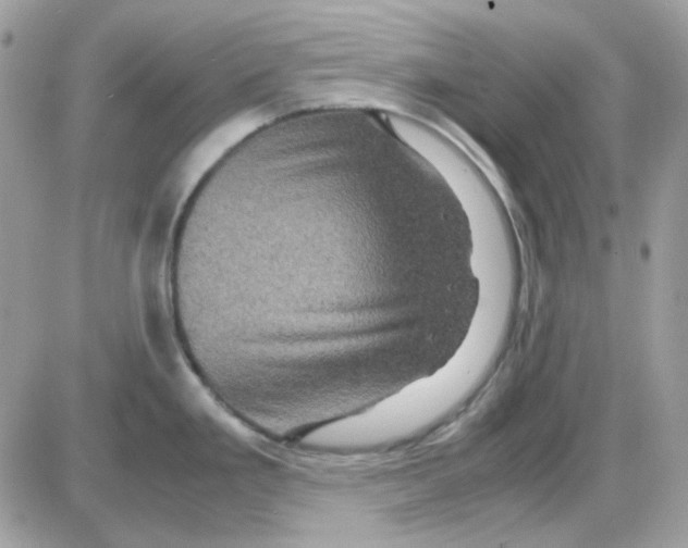 X0000085841293200704132053