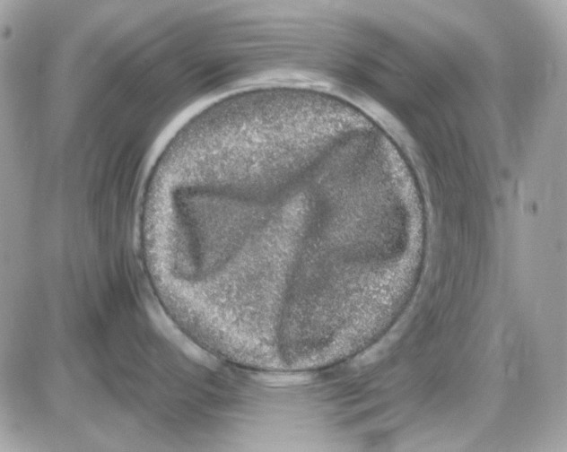 X0000085841296200704132053