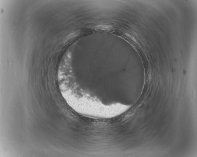 X0000085841297200704132053