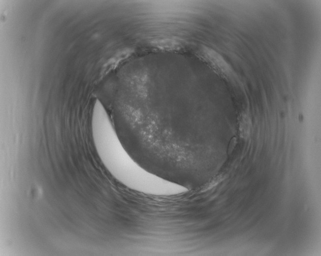 X0000085841298200704132053