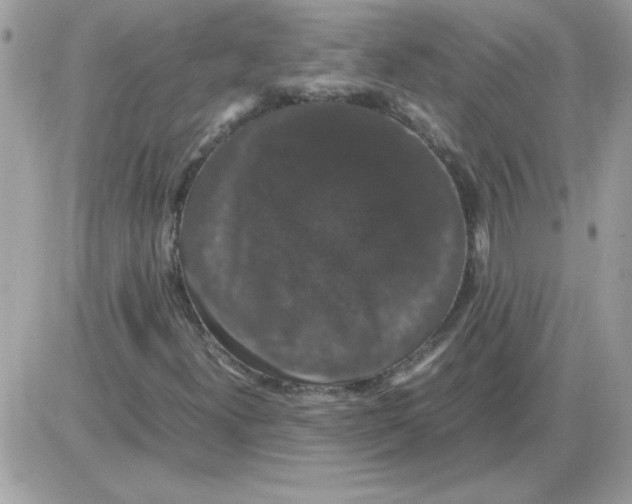 X0000085841300200704132053