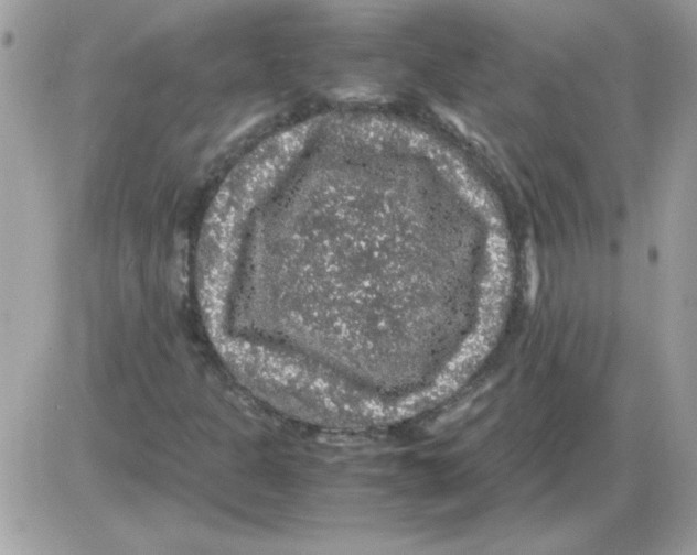 X0000085841301200704132053