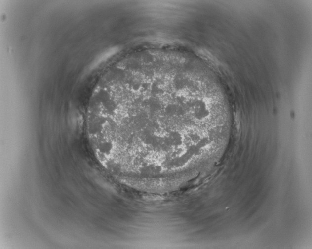 X0000085841302200704132053