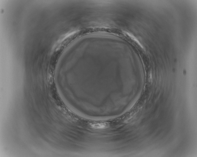 X0000085841303200704132053