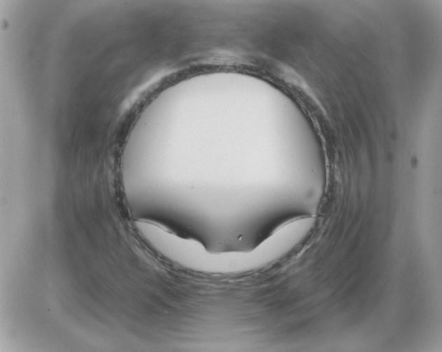 X0000085841304200704132053