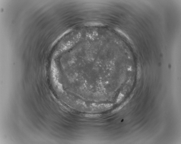 X0000085841305200704132053