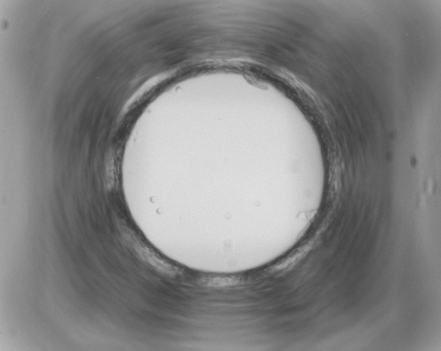 X0000085841306200704132053