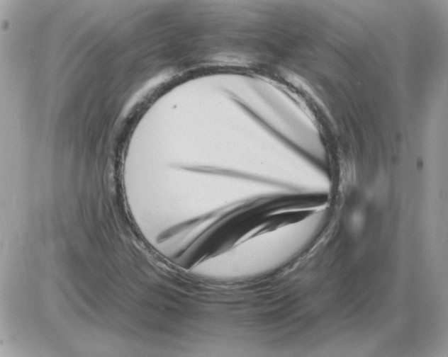 X0000085841307200704132053