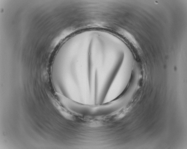 X0000085841308200704132053