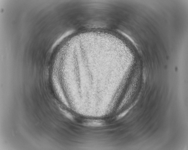 X0000085841309200704132053