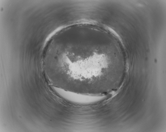 X0000085841310200704132053