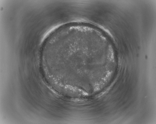 X0000085841311200704132053