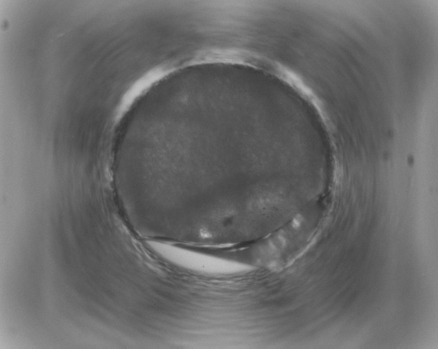 X0000085841312200704132053