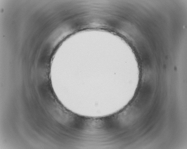 X0000085841314200704132053