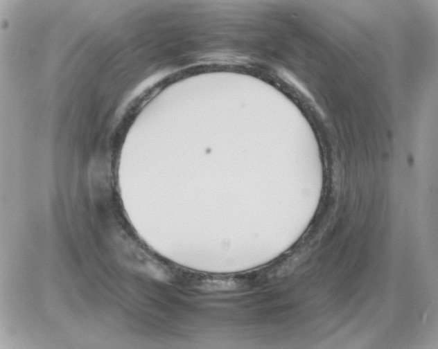 X0000085841315200704132053