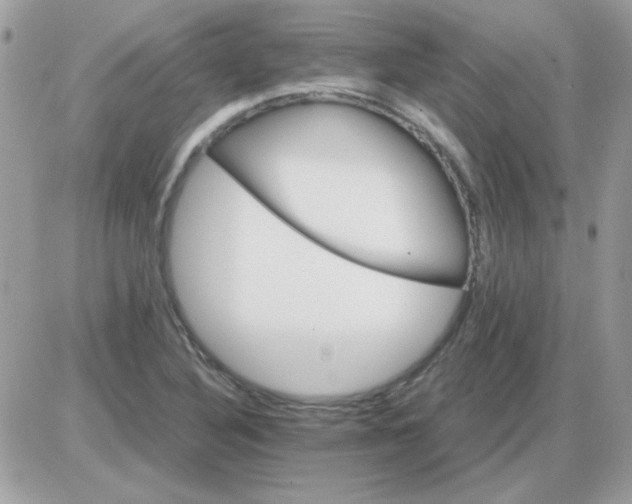 X0000085841316200704132053