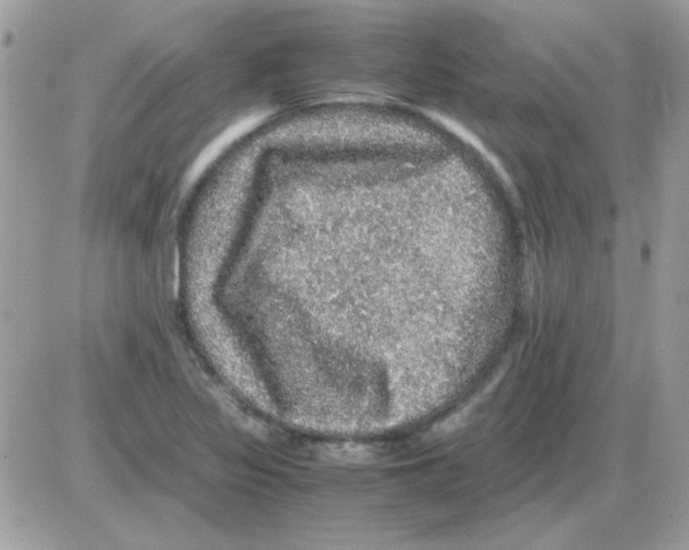 X0000085841317200704132053