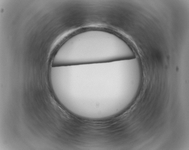 X0000085841319200704132053