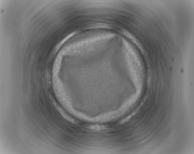 X0000085841321200704132053