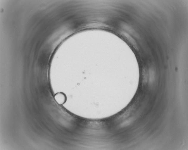 X0000085841322200704132053