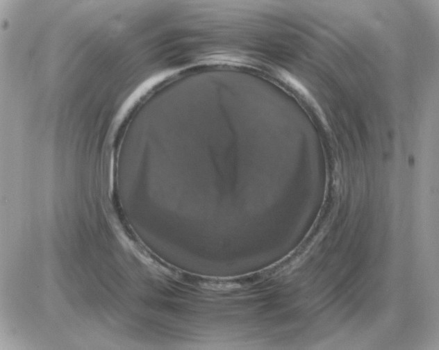 X0000085841323200704132053