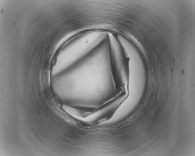 X0000085841324200704132053