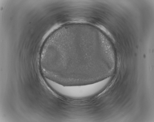 X0000085841325200704132053