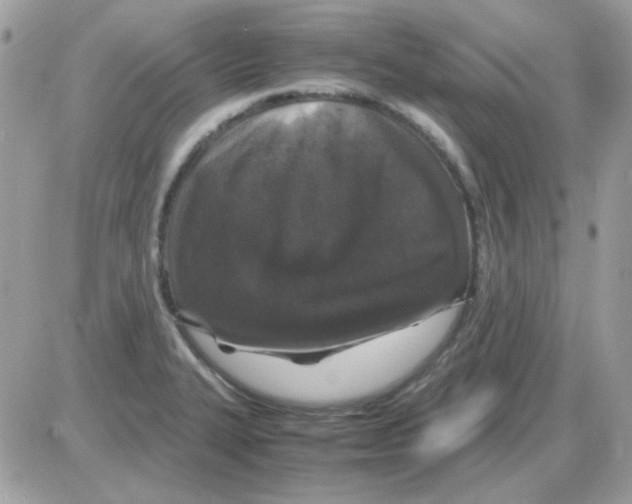 X0000085841327200704132053