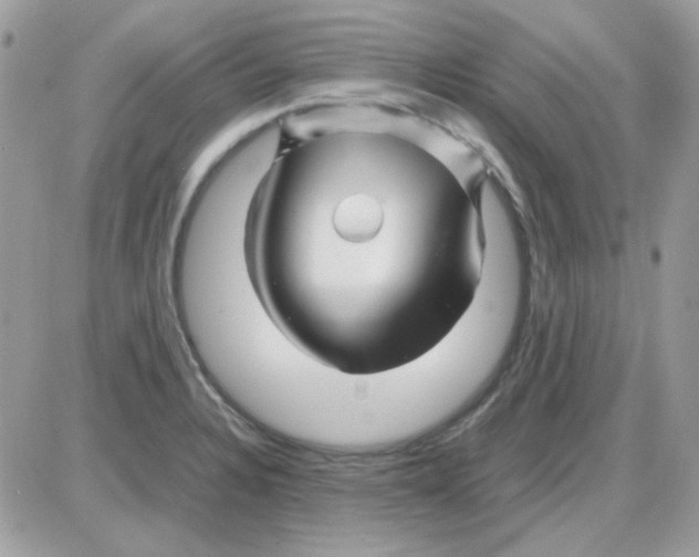 X0000085841328200704132053