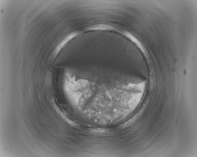 X0000085841329200704132053