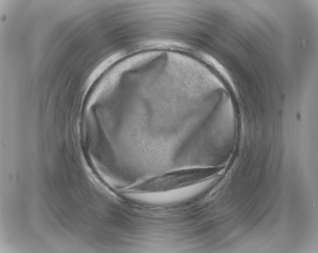 X0000085841330200704132053