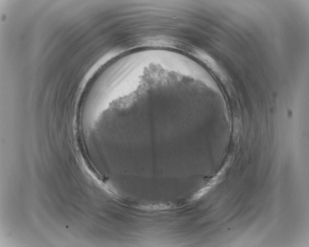 X0000085841331200704132053