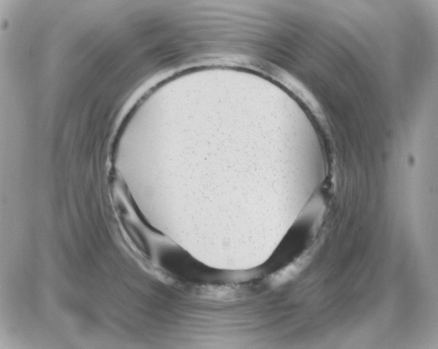 X0000085841332200704132053