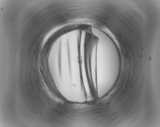 X0000085841336200704132053