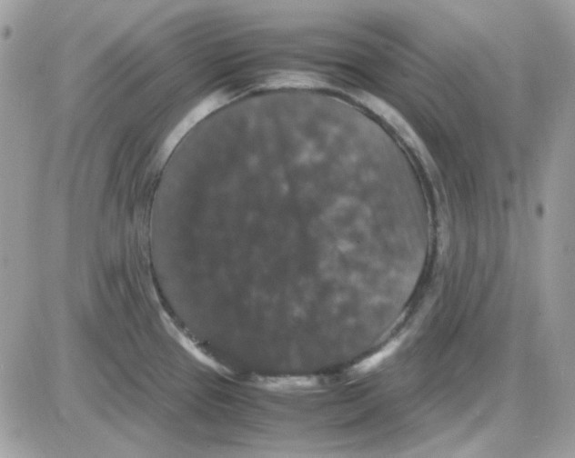 X0000085841337200704132053