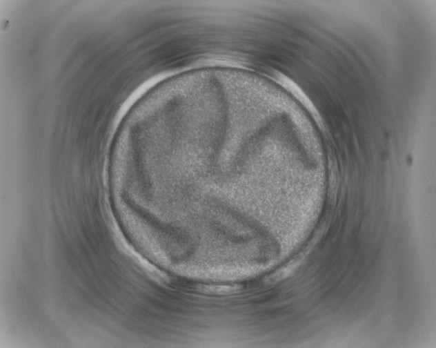 X0000085841339200704132053